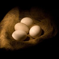 Яйца. :: Надежда Ивашкина