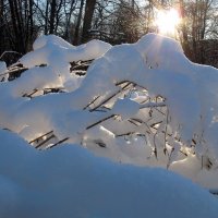 Снежный ажур :: Алексей Сараев