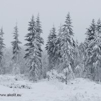 Fotostuudio Akolit, Tallinn :: Аркадий  Баранов Arkadi Baranov