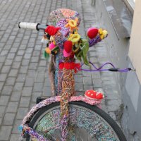 Велосипед для шкодных дам. :: Анна 