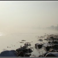 туман :: Елена Никитенко