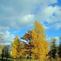 Островок :: ПетровичЪ,Владимир Гультяев