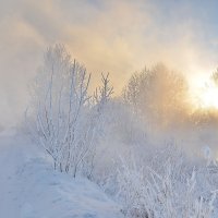 Морозный пейзаж с солнцем :: Нина Штейнбреннер