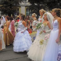 парад невест :: юрий иванов