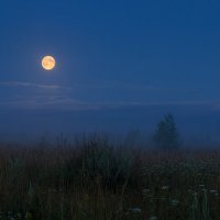 Тайны лунной ночи :: Елена Потёмина