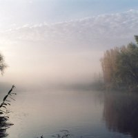 Осенний туман :: Александр 