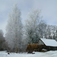 деревенька :: ольга кривашеева