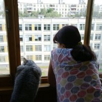 Человек и кошка смотрят из окошка. :: Александр Борисович Панченко