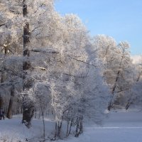 зима в парке :: Андрей С