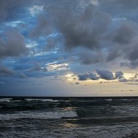 зимние воспоминания о море... :: Дарья Михальчик