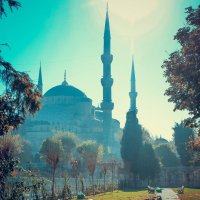 The Blue Mosque :: Anima Saltus
