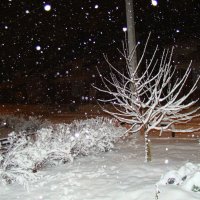 Снег идёт... :: Владимир Холодов