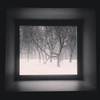 Зима в квадрате :: Виктор Одинцов