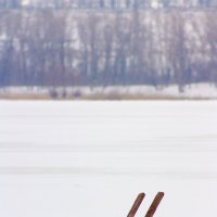 Лестница в       ниоткуда. :: brewer Vladimir