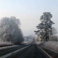 Утро зимой. :: Людмила Жданова