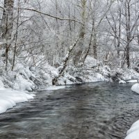 *** :: Александр Кислицын