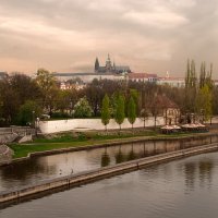 Влтава :: Наталья Калягина