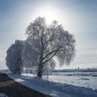 Домой :: Дамир Белоколенко