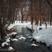 зима :: Владимир Шманько