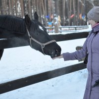 наши соседи :: Евгений Платонов