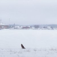 *** :: Александр Бобрецов