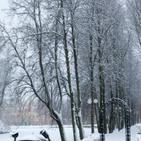 В летнем парке зима... :: Олег Козлов