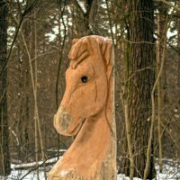Лесной конь :: Алексей Бродовой