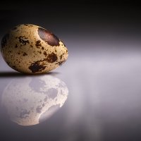 Перепелиное яйцо :: Паша Кириченко