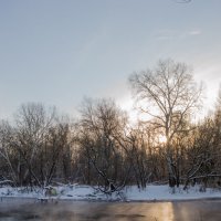Морозное утро :: Евгений Гармаш
