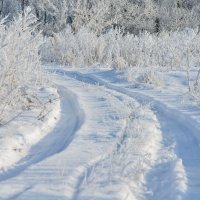 Зимняя сказка :: Виталий Качанов