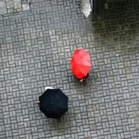 дождь :: Ежи Сваровский