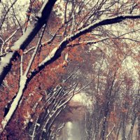 Осень и зима - встретились))) :: Ульяна Северинова Фотограф