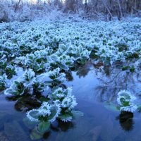 снегурки на воде :: юра черепанов