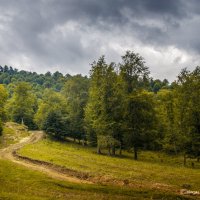 Армения.Область Лори. :: Nerses Matinyan