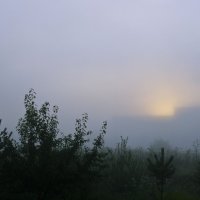 Утро туманное, утро... :: Владимир Архипов