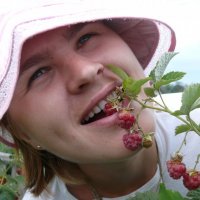 ягода-малина :: Алексей Бойко