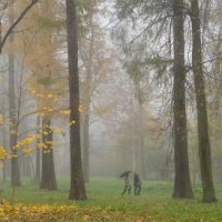 Осень в Александровском парке :: Alexander Roschin