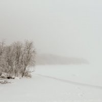 белое безмолвие :: Андрей Чепурнов