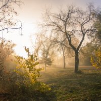 туман :: Гульнара Джарова