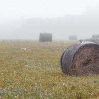 ...осень вышла из тумана... :: Сергей Долженко