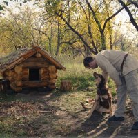 Собака по кличке Руна :: Роман Суханов