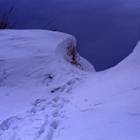 Сугробы и следы. :: Андрей Мердишев