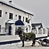 Монастырская лошадка :: Владимир Воробьев