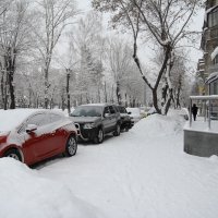 просто зима... :: Александр Рязанов