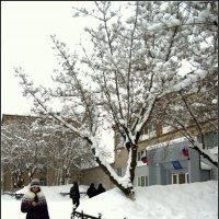 просто зима :: Александр Рязанов