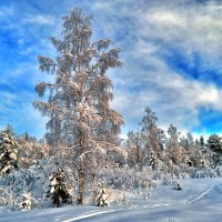 Зимний пейзаж :: Александр Преображенский 