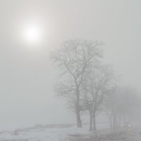 Туман " съедает " снег :: Константин Бобинский
