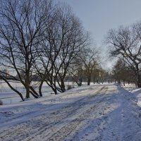 Прогуливаясь вдоль берега Свислочи :: Владислав Писаревский