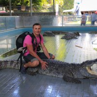 Леденящее кровь шоу с крокодилами :: Владимир Коломацкий