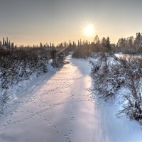 Место шабаша :: Вячеслав Лымарь